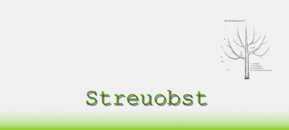 Obstbauring_logo_Streuobst.png  